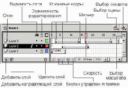 Кадры, слои, символы, временная шкала